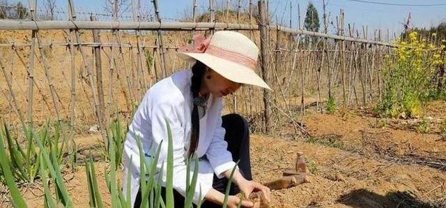 广东省|大批打工人逃离广东,留不下的广东回不去的家,专家给出满意答案