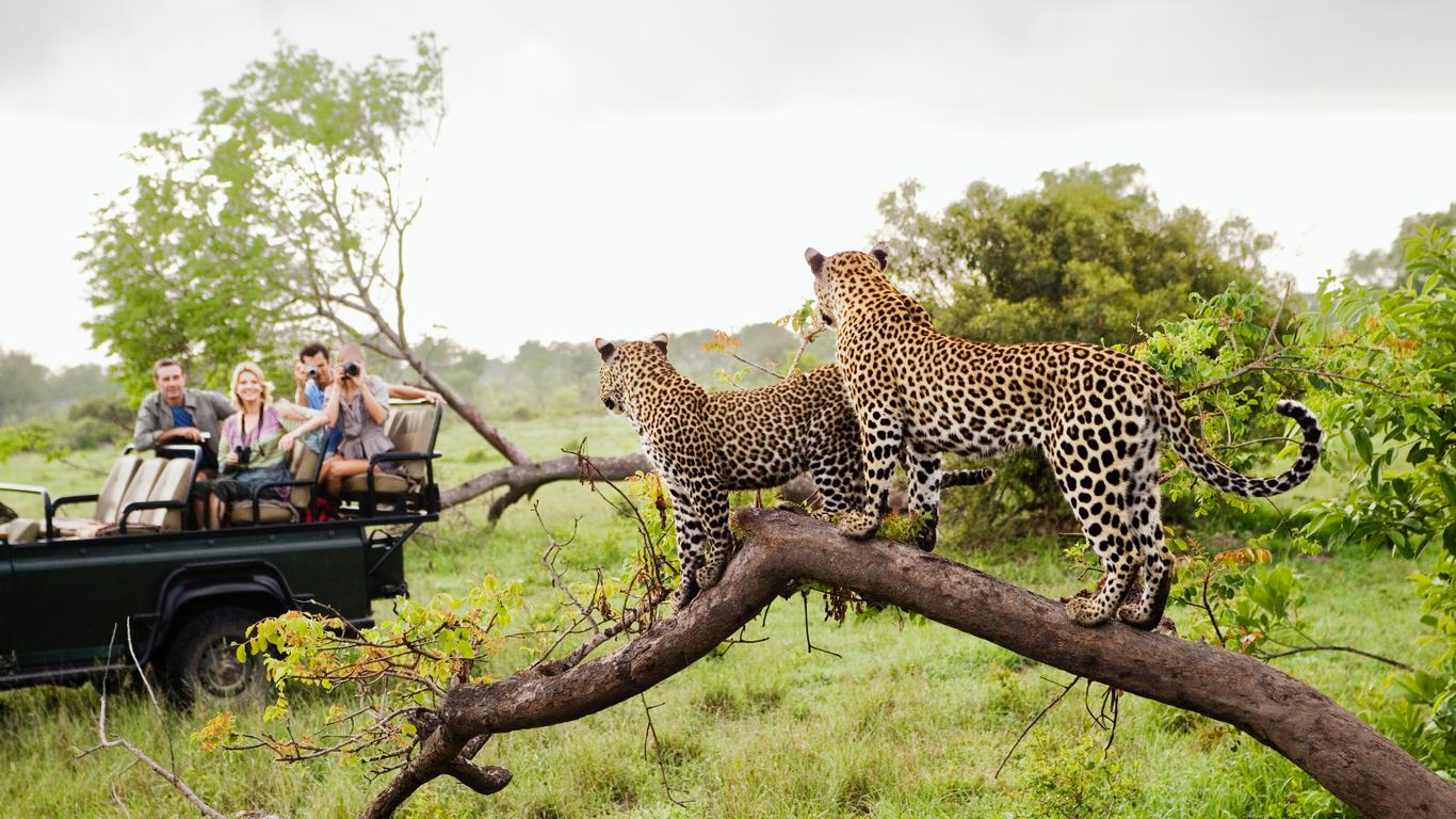 国家公园|无论您是打算长期逗留还是只是路过，这里有几个在南非必去的地方
