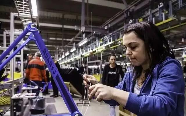 郑强:为何德国学生去职校很开心,我们考不上211,家长就失望?