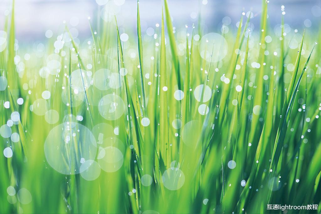 雨后怎么拍出梦幻的光影效果，看看这3个思路和技巧