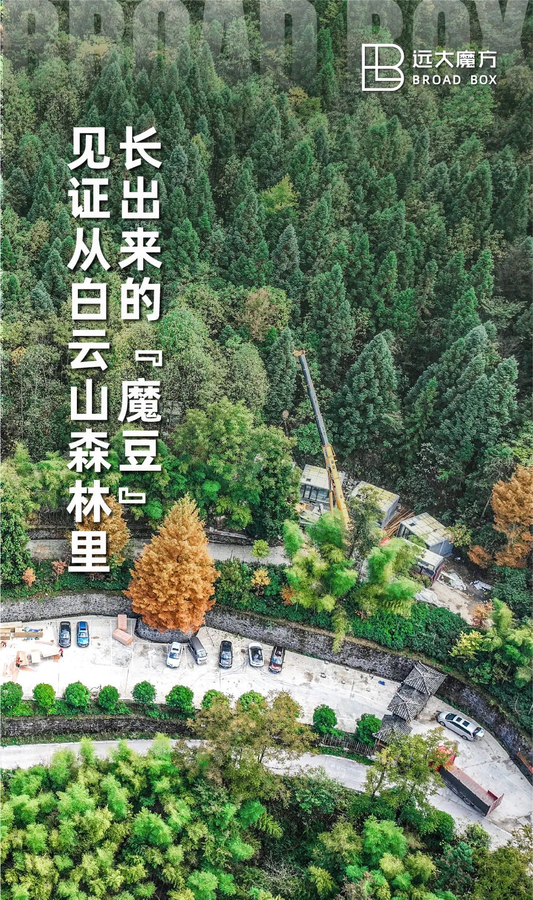 魔方湘西·续章再启｜见证从白云山森林里长出来的“魔豆”