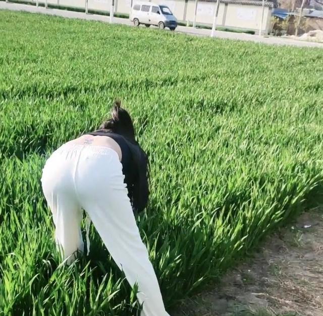 年轻女子田里拔草,衣着单薄,背上刺青显眼,网友:用意何在?