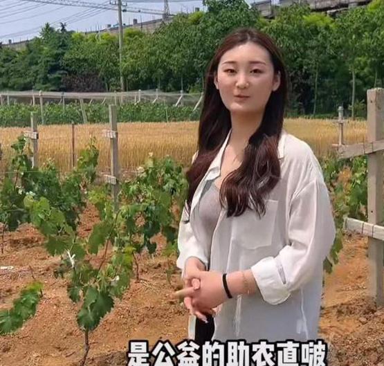 朱之文|大衣哥将启动首场带货直播，亲自录视频宣传，和陈亚男有何区别？