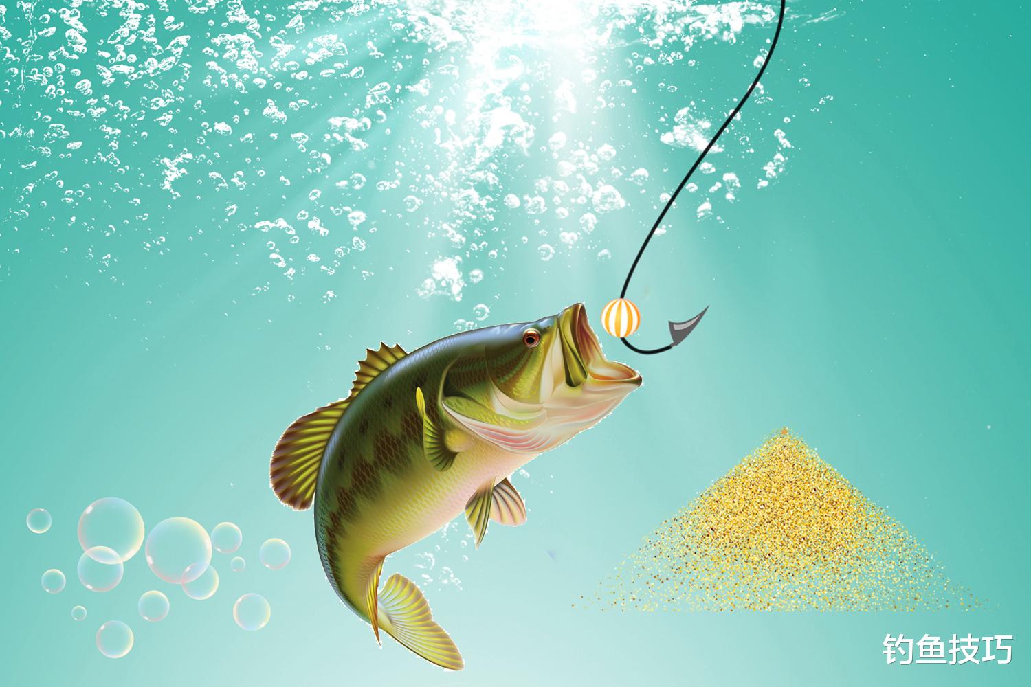 |鱼饵的效果不好怎么办?正规鱼饵和非正规鱼饵的主要区别