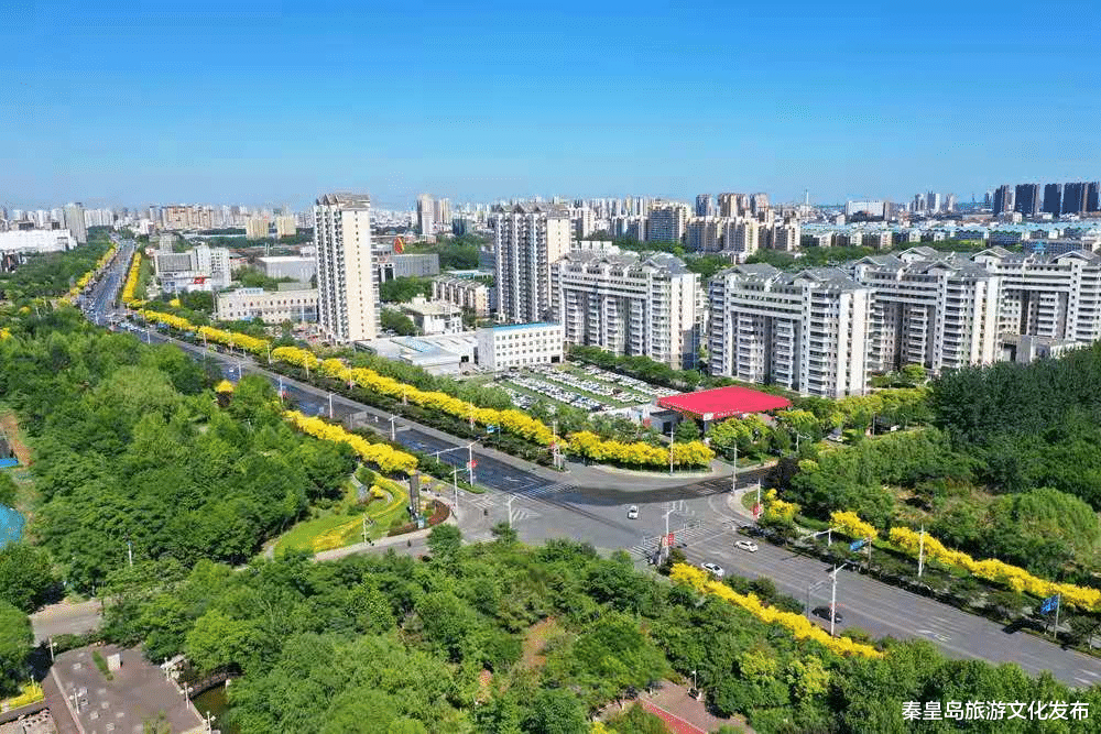秦皇岛|夏日有限，对秦皇岛夏天的热爱无限！
