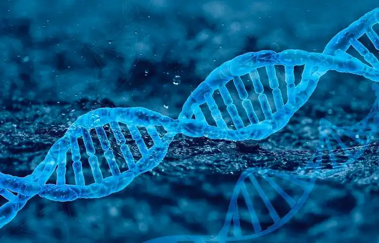 霸总行为!他为斯坦福女友豪掷33亿盖研究所,招募150名科学家…