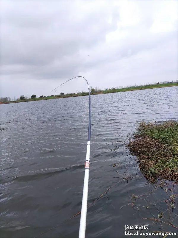 |借钓鱼王慧眼识“疯影”