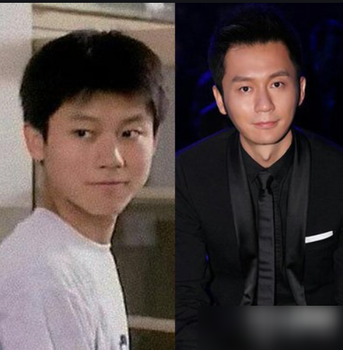 整容|陈学冬李晨凑在一起,堪称整容界两大流派教科书,难怪李维嘉都说认不出