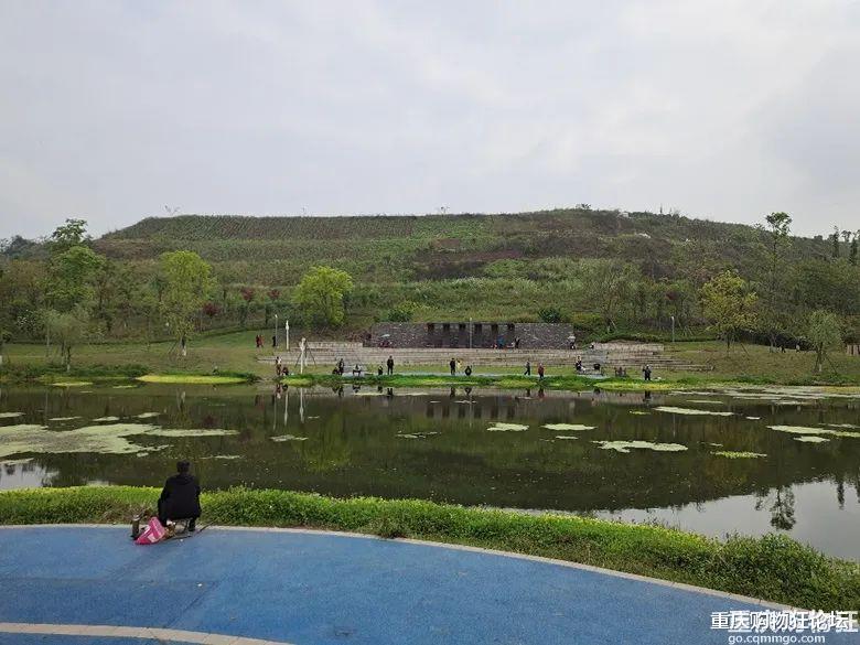 露营|重庆又有新公园啦！垂钓、露营、赏花、遛娃都可以