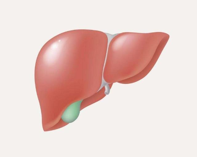 腹泻|喝酒后，为什么会拉肚子？酒后拉肚子，可能是出现了这4个问题！