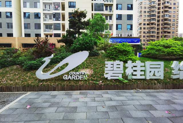 苏州工业园区|信号+信心,碧桂园稳健经营、全力前行