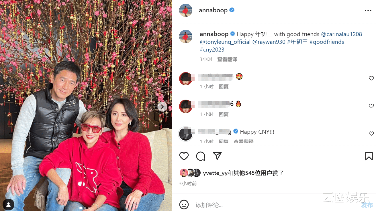 梁朝伟 梁朝伟从日本回国头发花白，在豪宅陪妻子过年，摆2米桃树年味足