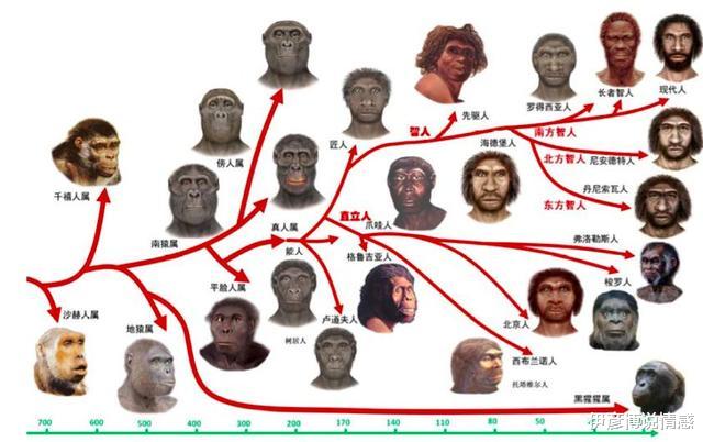 现代中国人从哪里来？新近研究给出了跟传统史书完全不同的答案