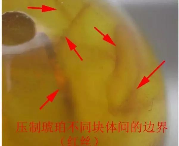 琥珀|什么是压制蜜蜡?