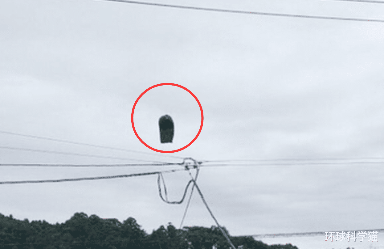 NASA才说建ufo团队,日本上空就现不明黑色物体!究竟是什么?