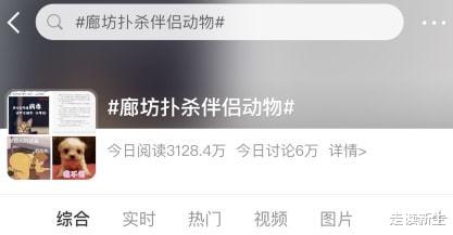 廊坊发出扑杀宠物的消息,衣服被褥也销毁,有人刚装修墙都泡坏了