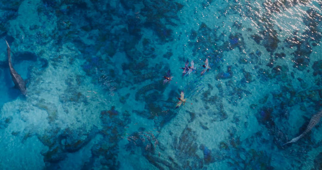 预告|逐镜解读,《阿凡达2》首款预告透露了哪些信息?