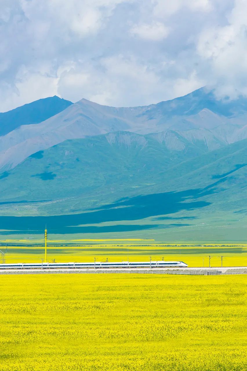 草原|这，才是7月最美的地方！