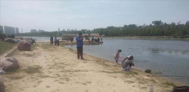 大板|河南一河道成天然黑坑，有人拖家带口来垂钓，网友：鱼犯天条了