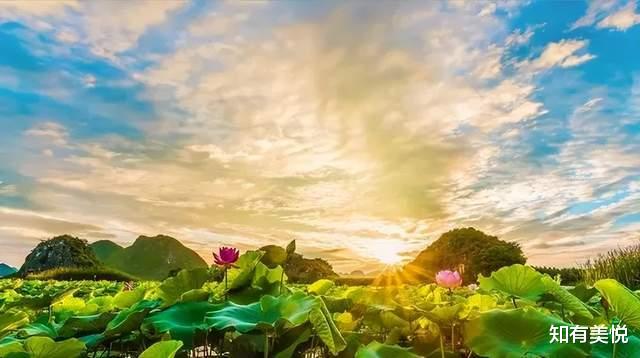 留神|端午好去处!来这14个被上帝偏爱的地方,邂逅一场完美的初夏之旅