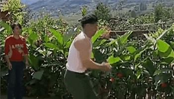 赵本山|本山传媒演员现状，接拍烂片、扎堆直播，赵本山已逐步失去掌控权