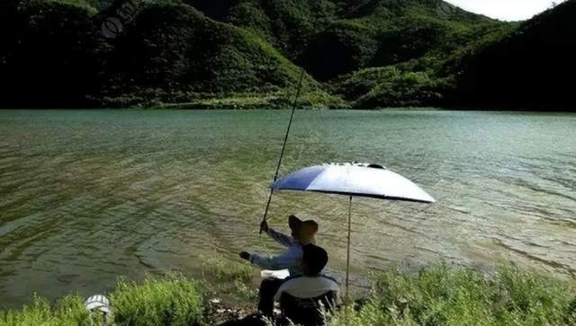 盛夏高温,没鱼口怎么办?这4招“专治”没鱼口,让你没口到连竿