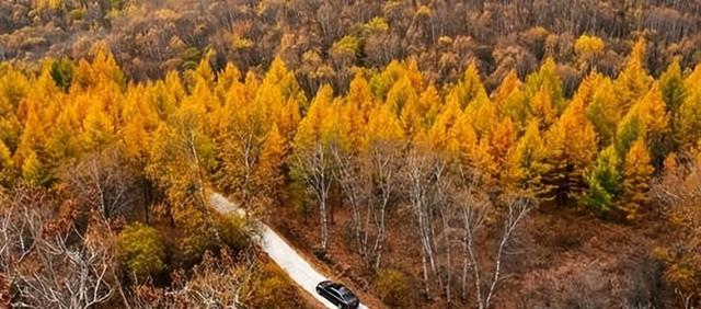 留坝|秋天自驾游,推荐一个秋游的小众打卡地,秋日景色只维持20几天