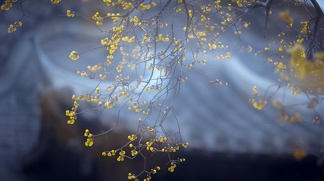 人到中年|人到中年，要学会演戏，该装就装