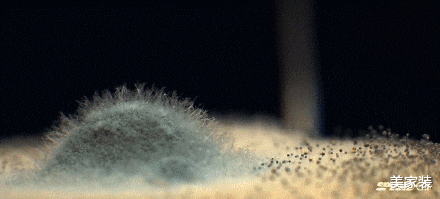 中看不中用的3个厨房设计，又贵又难用，别再跟风踩雷了！