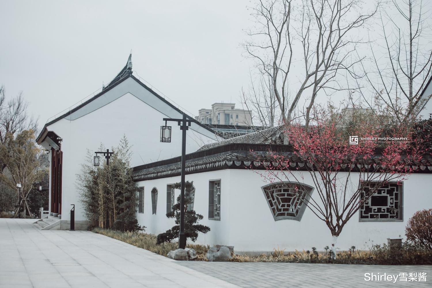 都江堰|上海免费的古典园林，藏着一座百年书院，梅花开得正好却空无一人