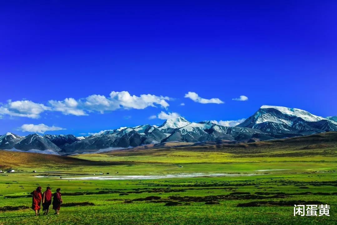 青藏高原，和南极、北极齐名，你又了解多少？