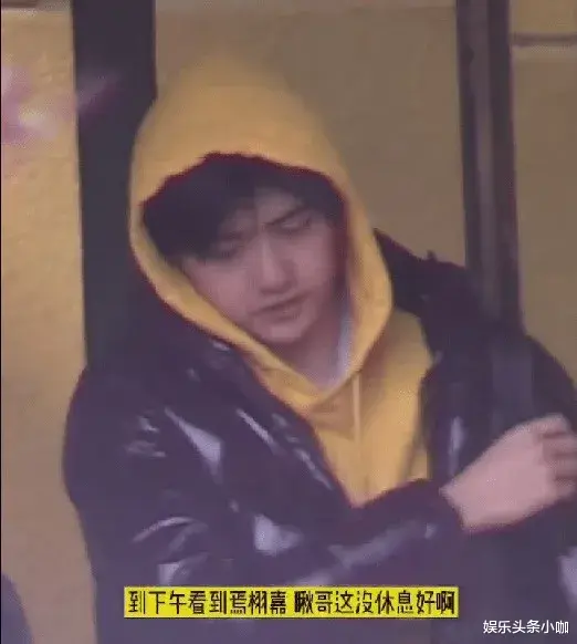 焉栩嘉|他俩恋情爆出，却被全网劝分？