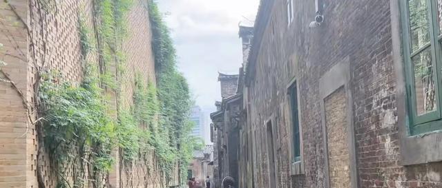 |公主与村妇？熊磊淡雅长裙亮相日常工作获杜粉夸赞，田静再遭嘲讽