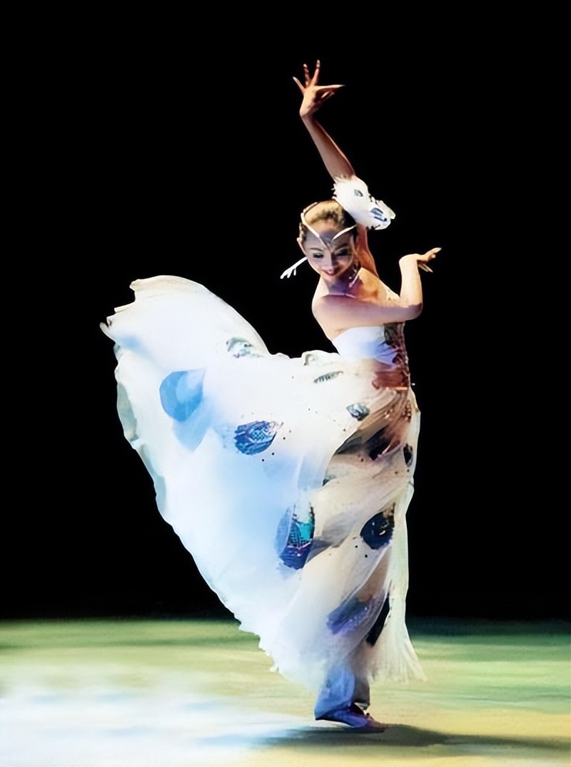 邰丽华|两次拒绝富商,27岁下嫁理工男,“千手观音”邰丽华找到幸福了吗