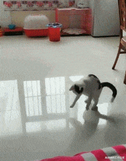 00后|耳机戴多了，耳朵好痛，而且里面还有液体，怎么办？