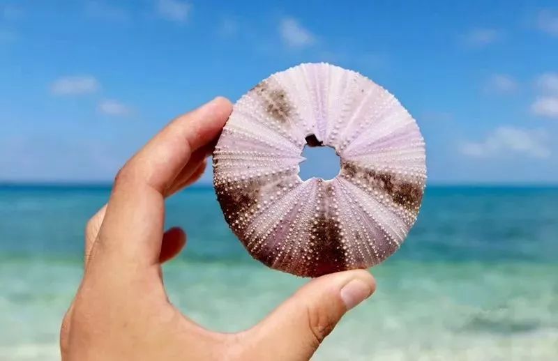 中国公民|只限中国公民进入的海岛,真正的0污染天堂,完胜马尔代夫!