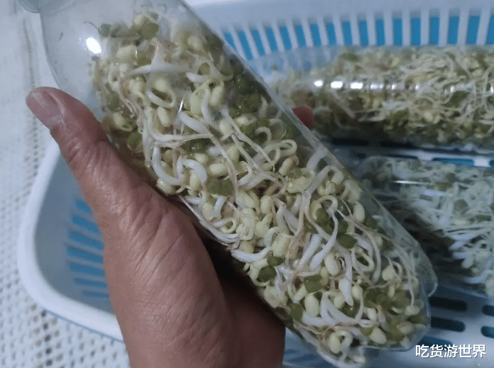 喝完的矿泉水瓶别扔了,放厨房有大用处,装粮食腌菜,好用还省钱