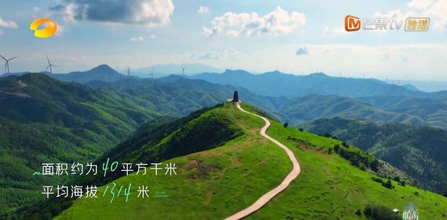 殷桃|《中餐厅6》42岁的殷桃好美!嘉宾营业难度降低,还有两位厨师