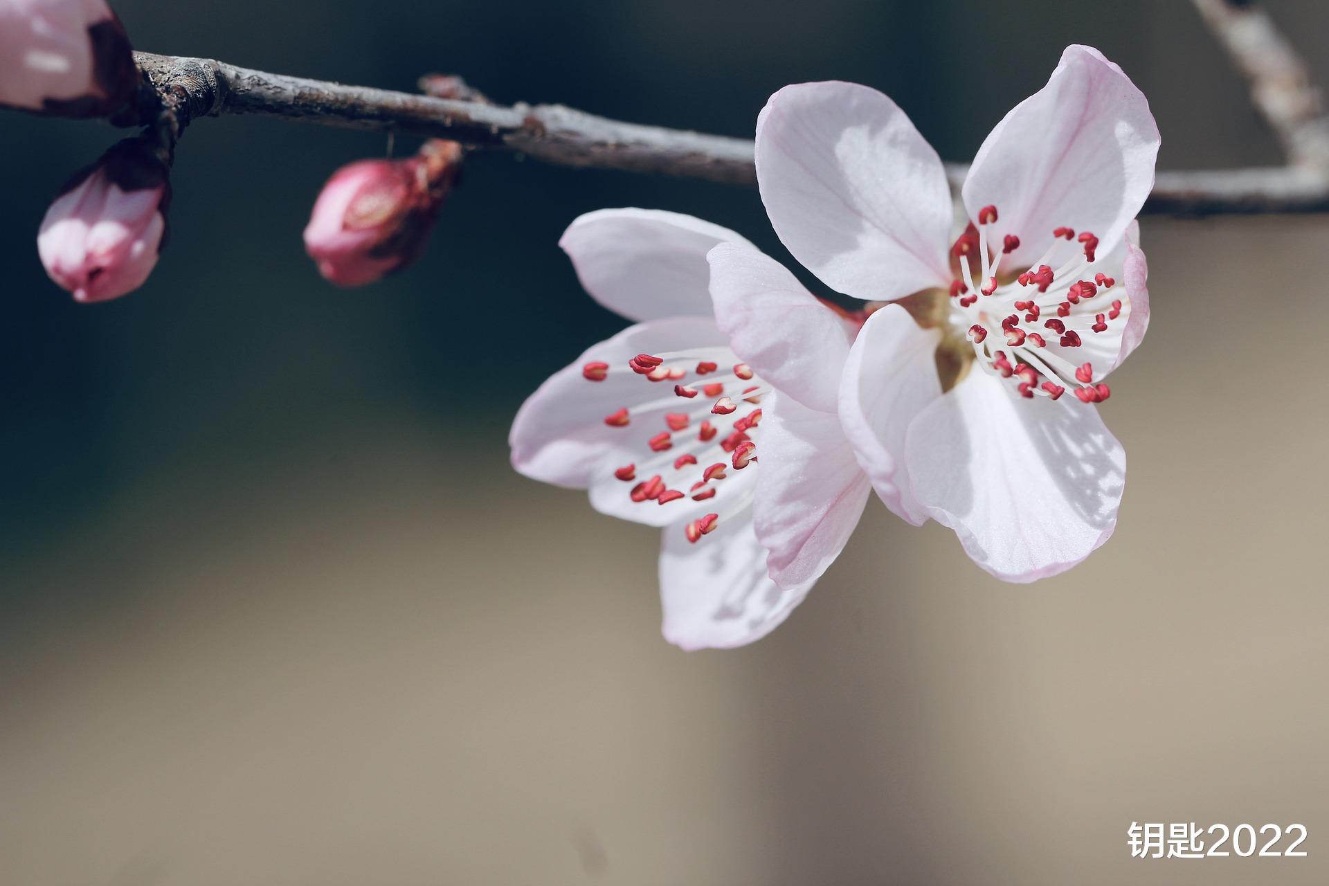 招聘|不要因为合作方是大公司大集团就掉以轻心