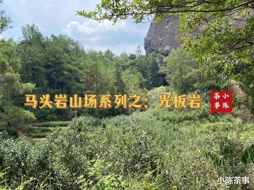 邮轮|开山坪、猫儿石、桃树窠，马头岩的山场究竟有哪几个？这是个谜团