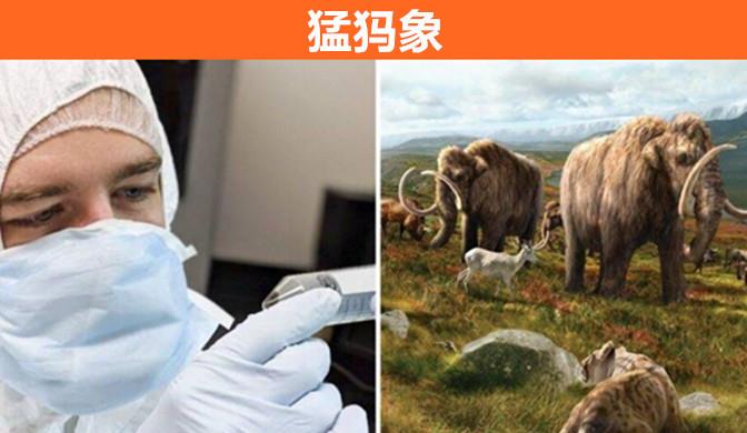 随着科学的发展,人们试图把早已经灭绝的9种动物重新复活