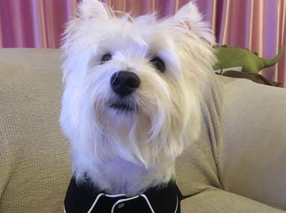 参观马苏现实中的家:全屋喜欢用粉红色装修,哪像是奔四的人了