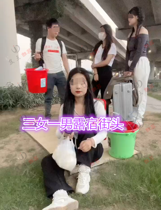 求职|3女1男提桶找月薪1万的工作,露宿天桥下啃馒头,网友:高估自己