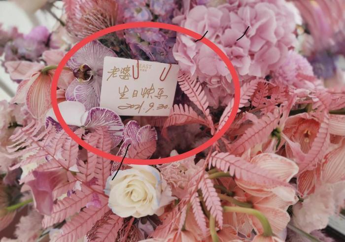 张艺谋|陈婷给张艺谋打电话:我有了,张艺谋:别声张,你两条路自己选