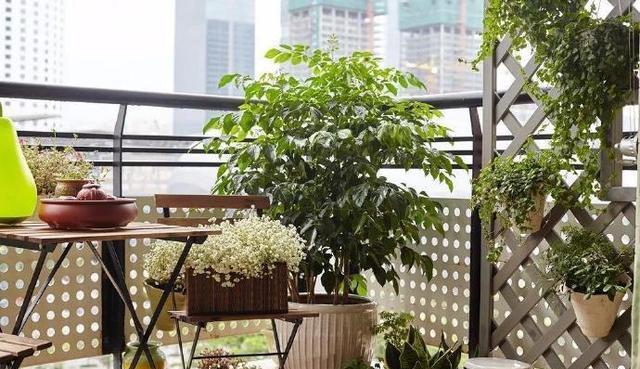 不到10万装完的三室两厅，完工简约大气，越看越漂亮！