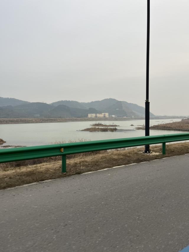 |新年新气象，河沟里的大板鲫