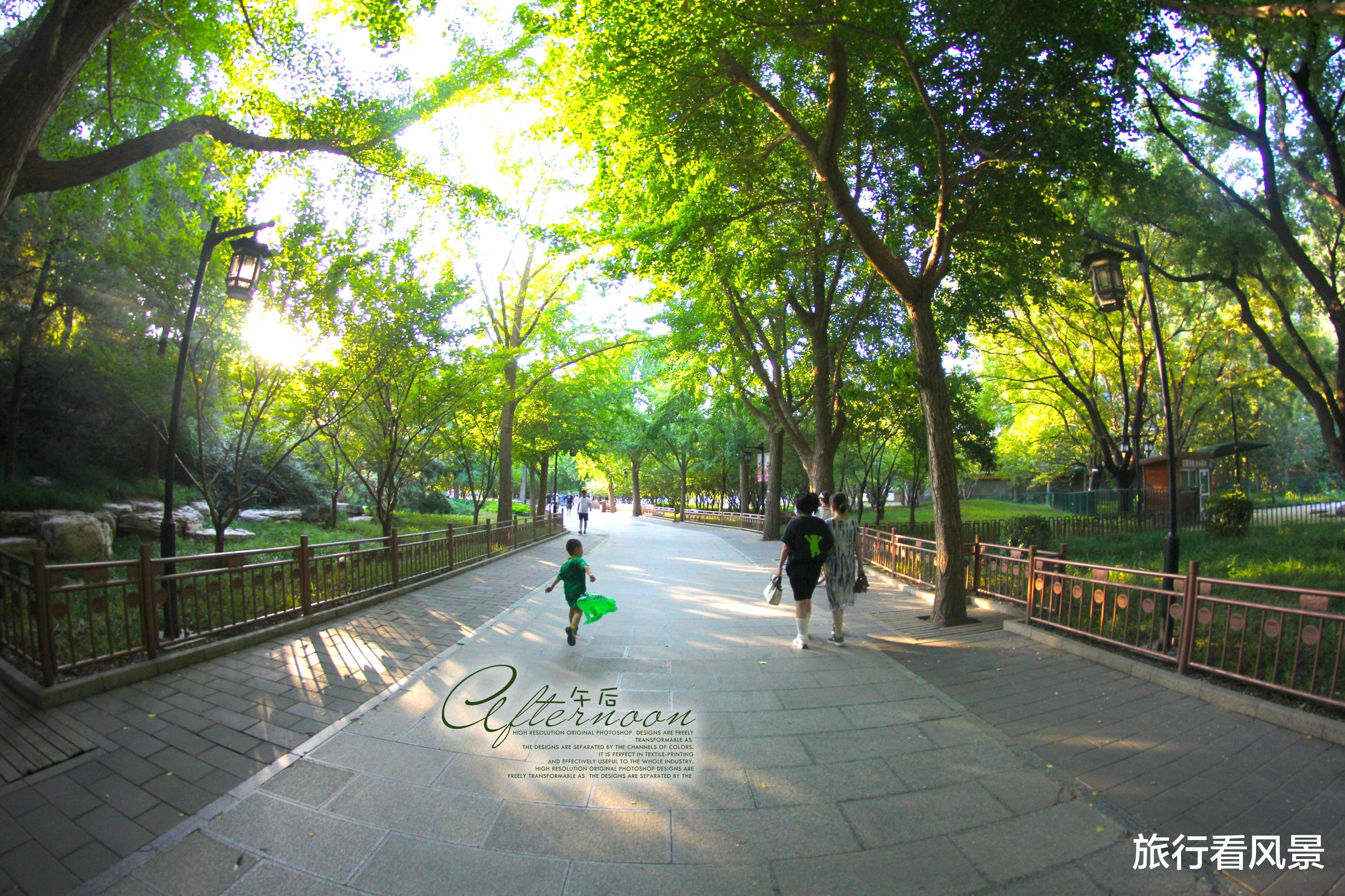 北京市|北京赏荷宝藏公园，仅需2元穿越江南梦境，画面美得不真实