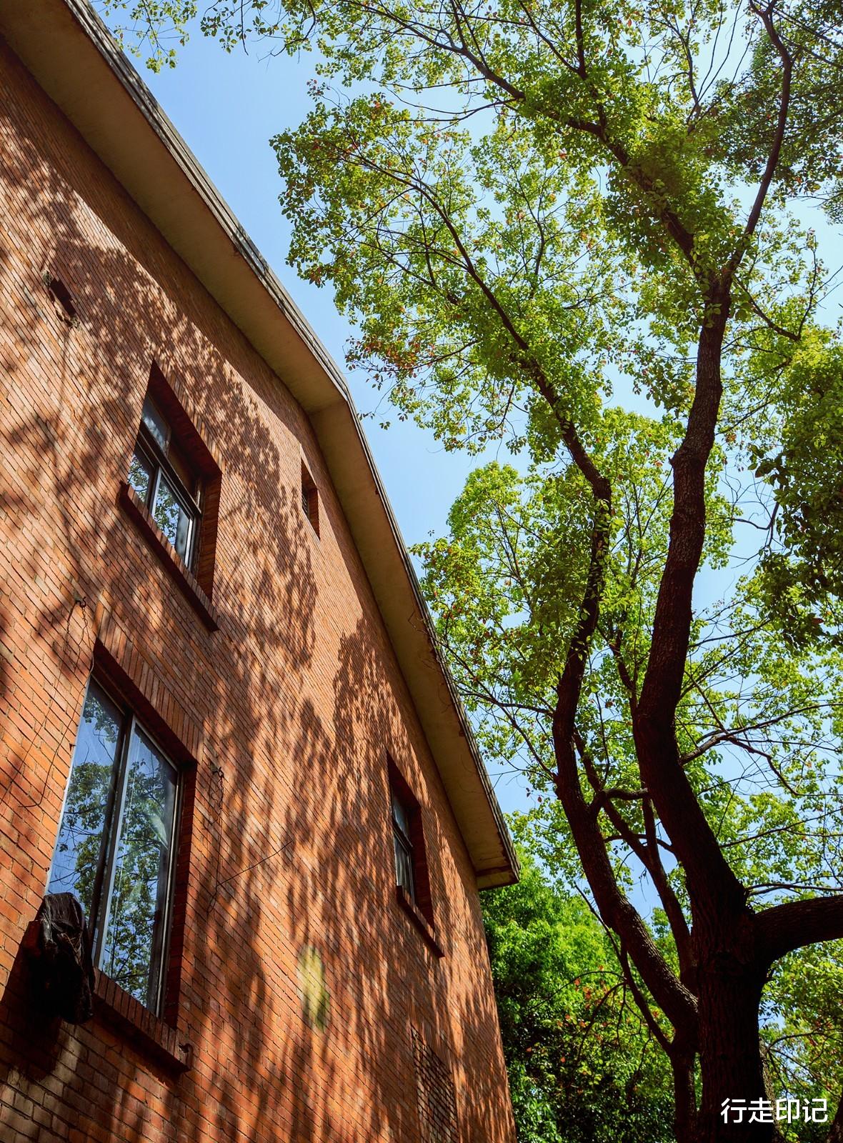 摩登时代|运河之畔的红洋房,藏着父辈们的摩登时代