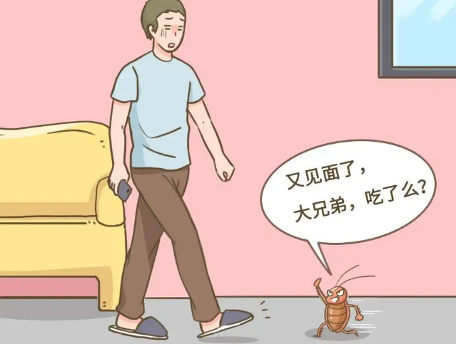 家里的蟑螂怎么根除?这几招一个比一个狠