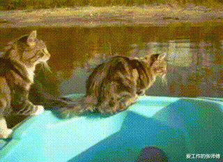 商丘|“华为1996年的招聘广告，大家自己感受一下！”哈哈哈哈人才啊